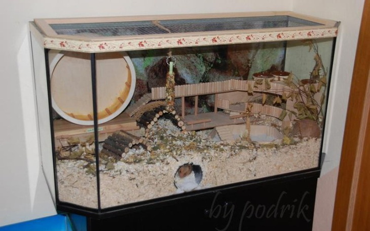 Zbiórka Dobre warunki dla mojego chomika - zdjęcie główne