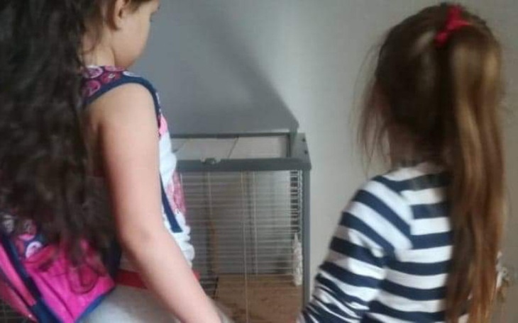 Zbiórka Za Okazaną Pomoc Dziękuje - zdjęcie główne