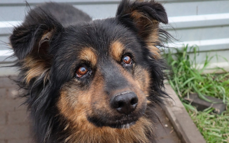 Zbiórka Pomoc w normalnym funkcjonowaniu - zdjęcie główne