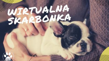 Zbiórka Wirtualna skarbonka - miniaturka zdjęcia