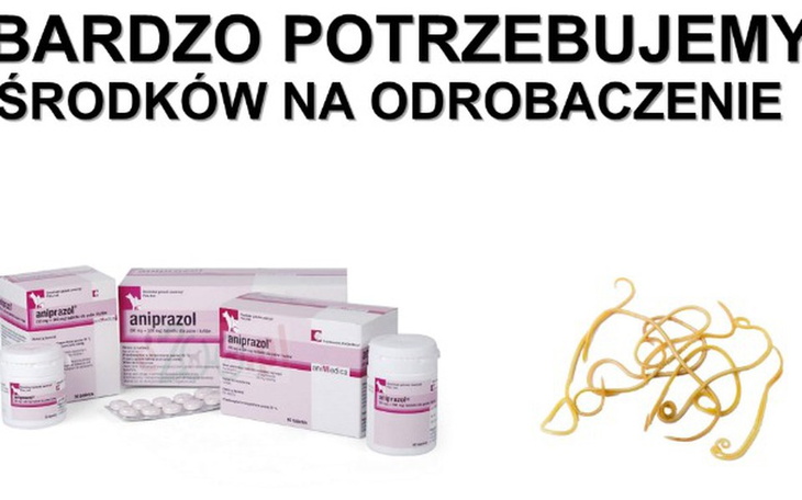 Zbiórka Zbiórka na odrobaczenie - zdjęcie główne