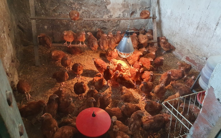 Zbiórka Pomoc w gospodarstwie - zdjęcie główne