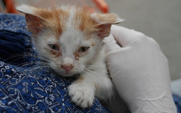 Zbiórka Ta sama perspektywa śmierci..... - zdjęcie główne