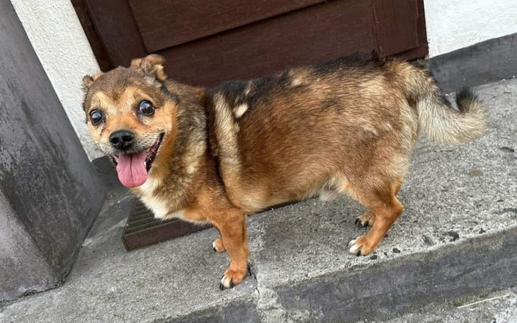 Zbiórka Dwa dni pilnował ciała pana... - zdjęcie główne