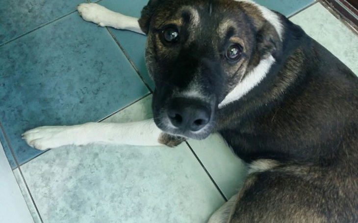 Zbiórka UŚPIĆ  to nie sztuka... - zdjęcie główne