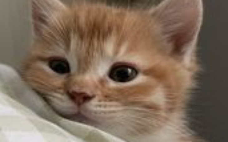 Zbiórka unban dla bejcy na adrenalinarp - zdjęcie główne