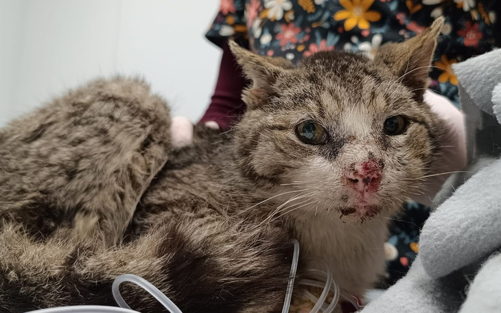 Zbiórka Nie odwracaj wzroku - pomóż mi - zdjęcie główne