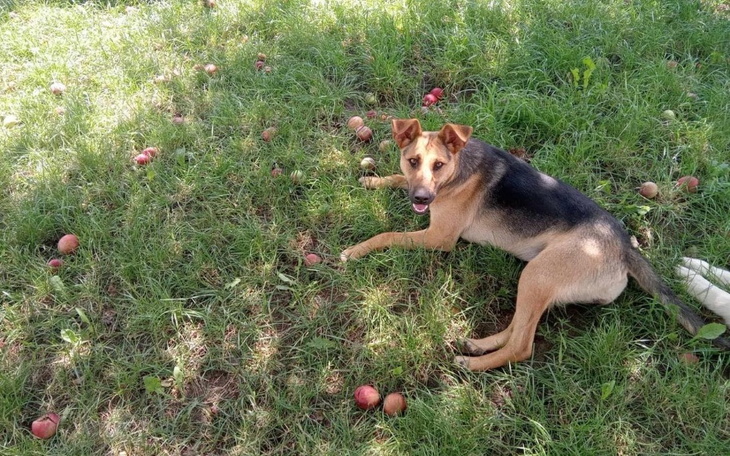 Zbiórka Transport i lepsze życie - zdjęcie główne