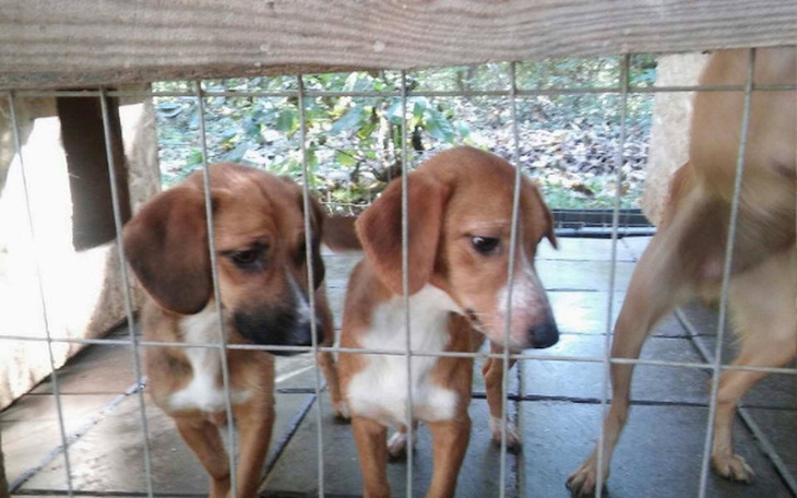 Zbiórka Zapomniane ale wspaniałe - zdjęcie główne