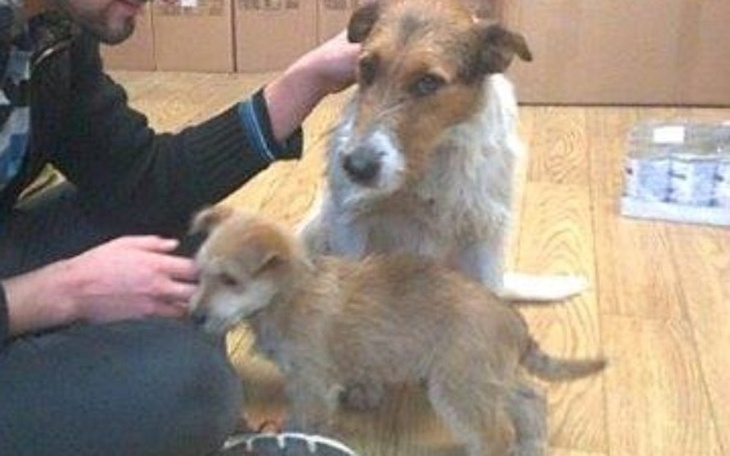 Zbiórka Ojciec i syn- znalezieni przy A1 - zdjęcie główne