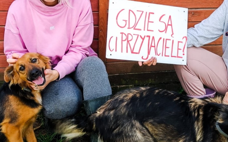 Zbiórka Tym się nikt nie interesuje - zdjęcie główne