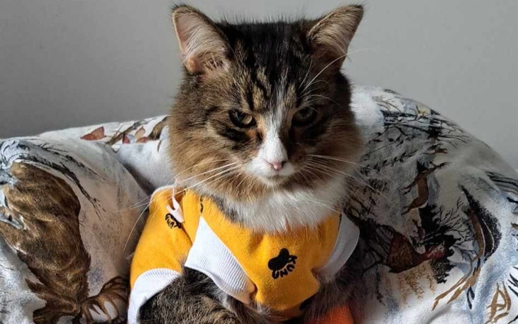 Zbiórka Co jeszcze spotka Titka - zdjęcie główne