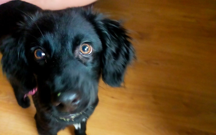 Zbiórka Import Tokya na Islandię - zdjęcie główne