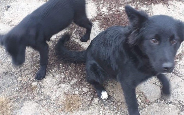 Zbiórka Podlaskie biedy prosza o pomoc - zdjęcie główne