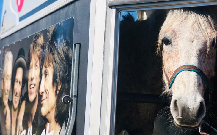 Zbiórka Grimkowi jego Everest - zdjęcie główne