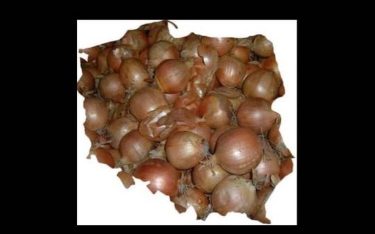 Zbiórka POLAK nie CEBULAK - zdjęcie główne