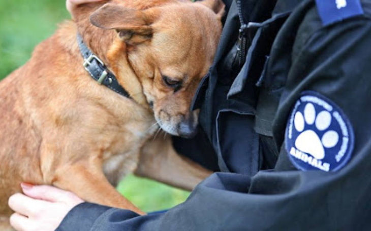 Zbiórka Reaktywacja inspektoratu i auto - zdjęcie główne