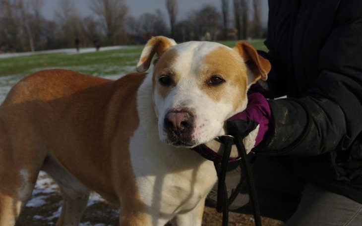 Zbiórka Baron - zdjęcie główne