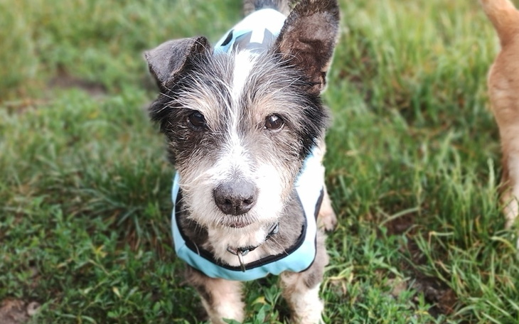 Zbiórka Koszty leczenia Kosmusiów - zdjęcie główne