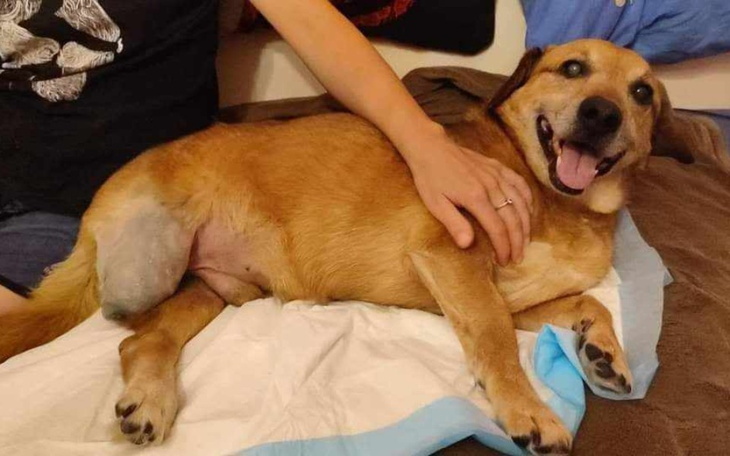 Zbiórka Przełamać krwawą passę... - zdjęcie główne