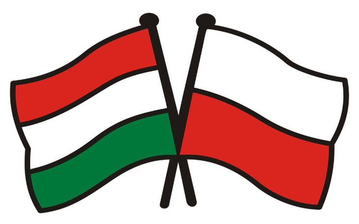 Zbiórka Przyjaźń Polsko-Węgierska 1920 - zdjęcie główne