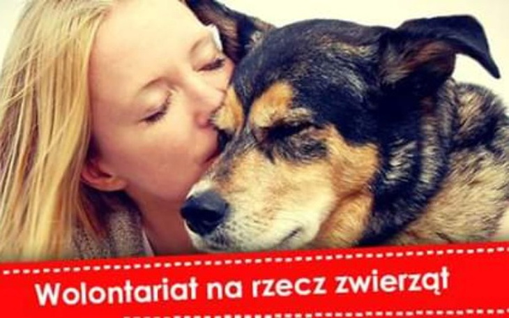 Zbiórka Pomoc dla Zwierzoluby z Siedlec - zdjęcie główne