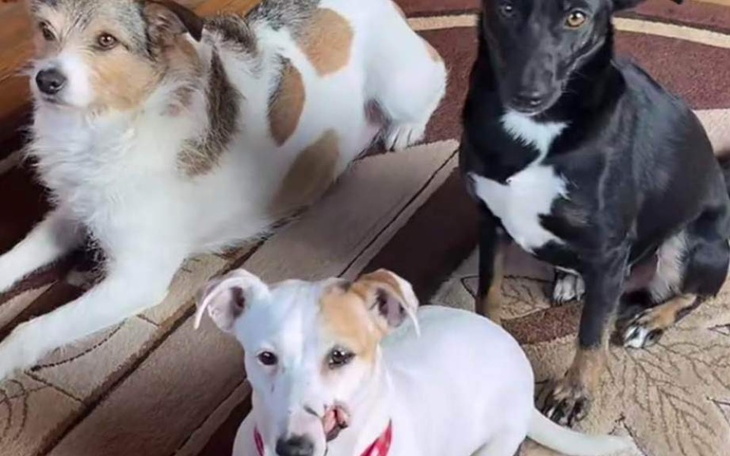 Zbiórka Energia i czynsz - zdjęcie główne