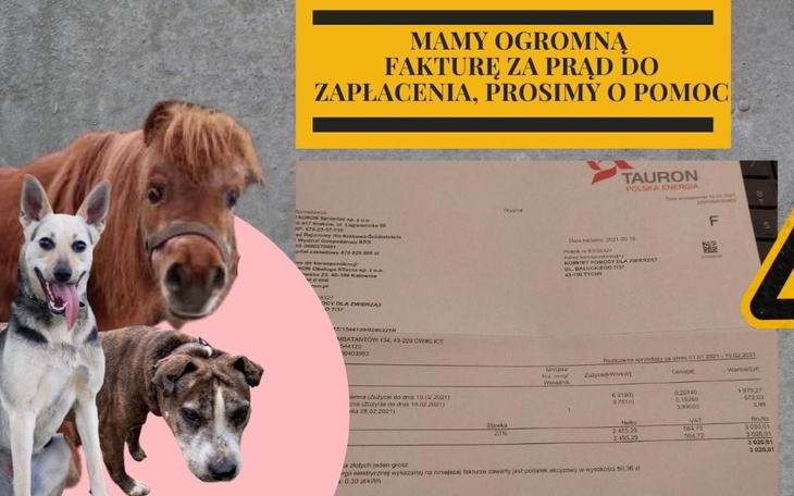 Zbiórka Ogromna faktura za prąd- pomóż.. - zdjęcie główne