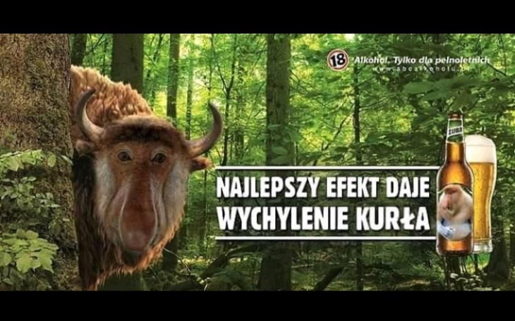 Zbiórka Na buszka 420 - zdjęcie główne