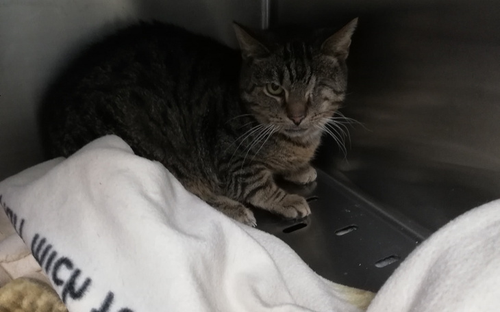 Zbiórka Podsumowanie wizyt Borysa - zdjęcie główne