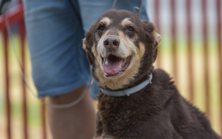 Zbiórka Badania Xsary - zdjęcie główne