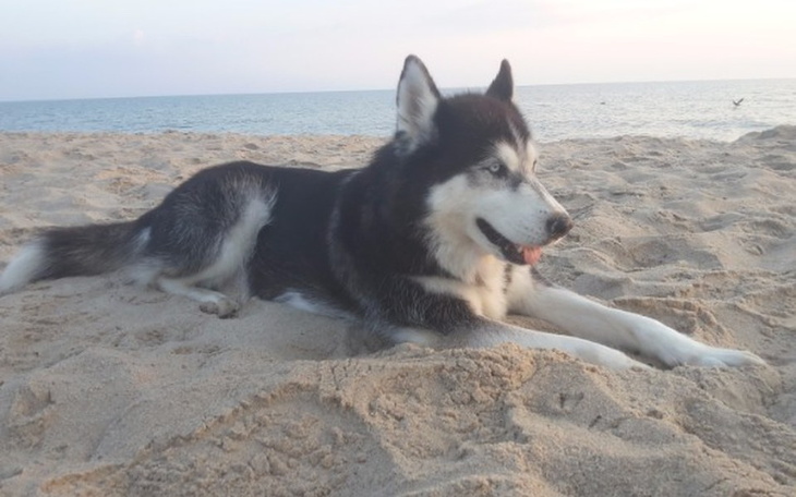 Zbiórka NA REZONANS i LECZENIE DLA TASHY - zdjęcie główne