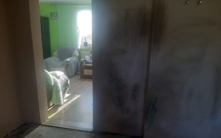 Widok na pokój z zielonymi ścianami i jasnym światłem słonecznym.