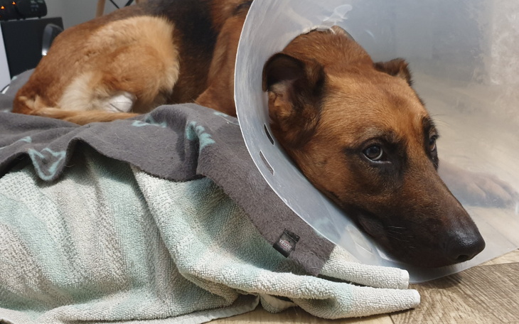 Zbiórka Pomoc dla Keiry... - zdjęcie główne