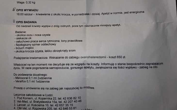 Zbiórka Operacja dla Pcimci - zdjęcie główne