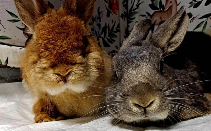 Zbiórka Klimatyzacja u niepełnosprytków - zdjęcie główne