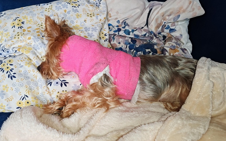 Zbiórka Ratujmy Helenkę - zdjęcie główne