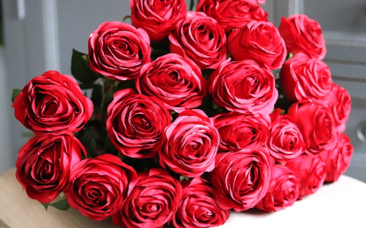 Zbiórka dla biednych i opuszczonych - zdjęcie główne