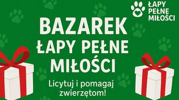 Zbiórka Bazarek- Łapy Pełne Miłości - miniaturka zdjęcia