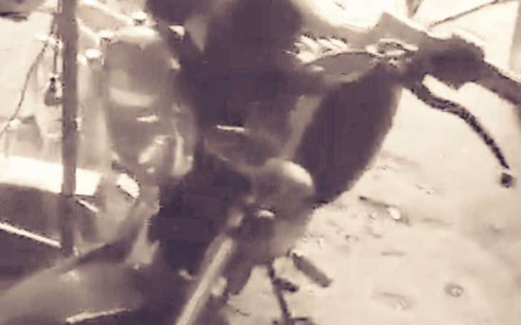 Zbiórka Zbieram na naprawę motocykla, - zdjęcie główne