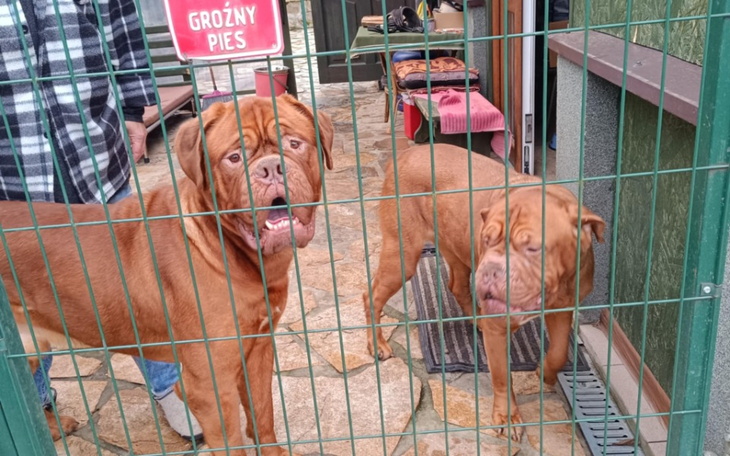 Zbiórka Rudzielce i przyjaciele - zdjęcie główne