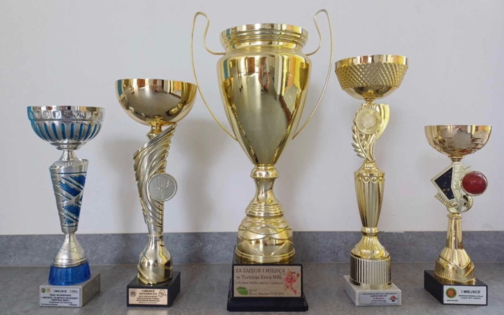 Złote trofea sportowe na szarej powierzchni.