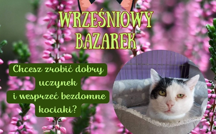 Zbiórka Wrześniowy Bazarek - zdjęcie główne