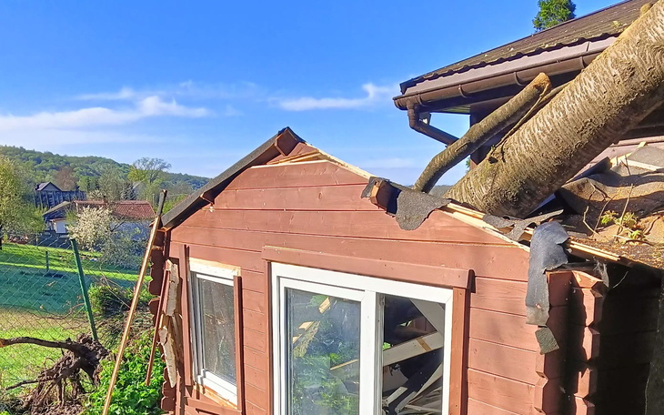 Zniszczony dach domku letniskowego po upadku drzewa.
