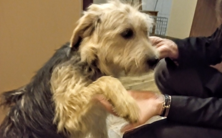 Zbiórka S.O.S By dalej móc ratować bidy - zdjęcie główne