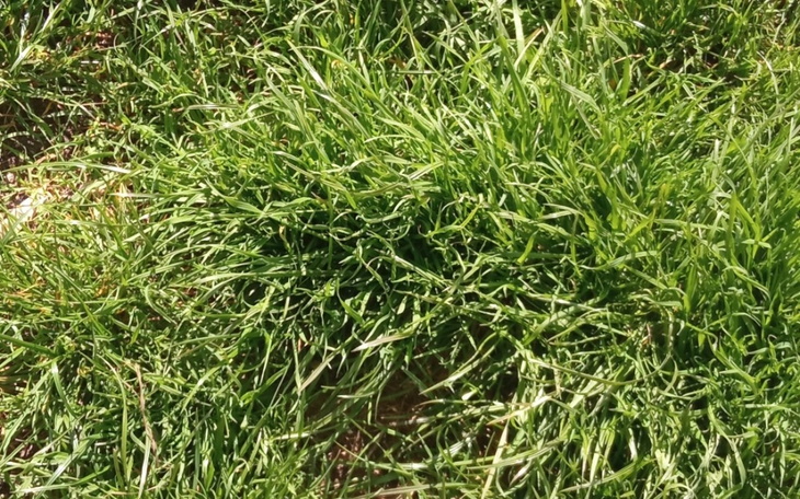 Zbiórka Zbieram na jakieś ciuszki - zdjęcie główne