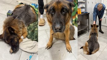 Zbiórka Uratowana od urzędniczki - miniaturka zdjęcia