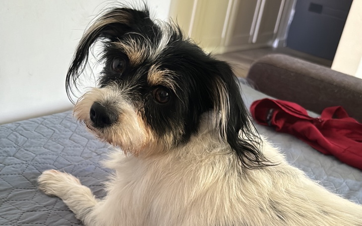 Zbiórka Strata mieszkania- pomoc - zdjęcie główne