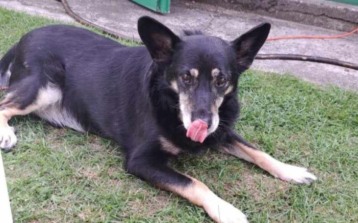 Zbiórka Walczymy dalej by przerwać.. - zdjęcie główne