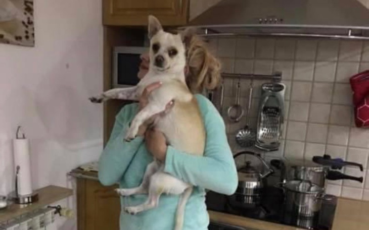 Zbiórka Na pomoc adwokata i apelacje - zdjęcie główne